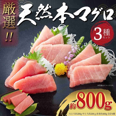 極寒本鮪(天然本まぐろ)セットA 赤身約200g×2、中とろ約200g×1